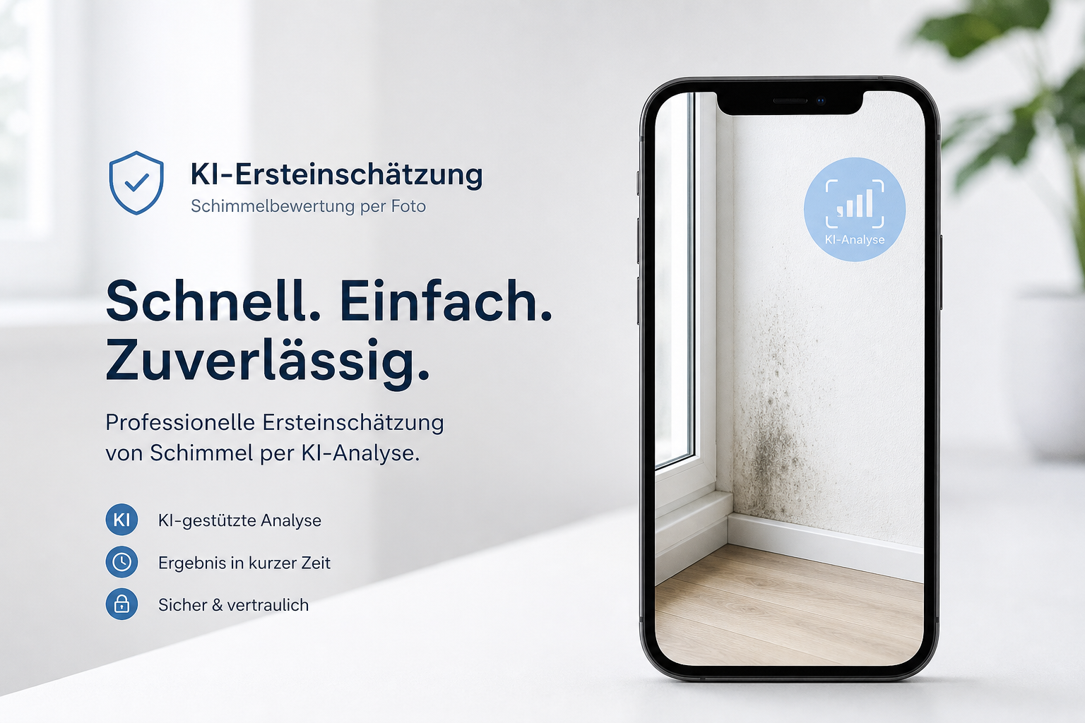 KI-Ersteinschätzung Schimmel