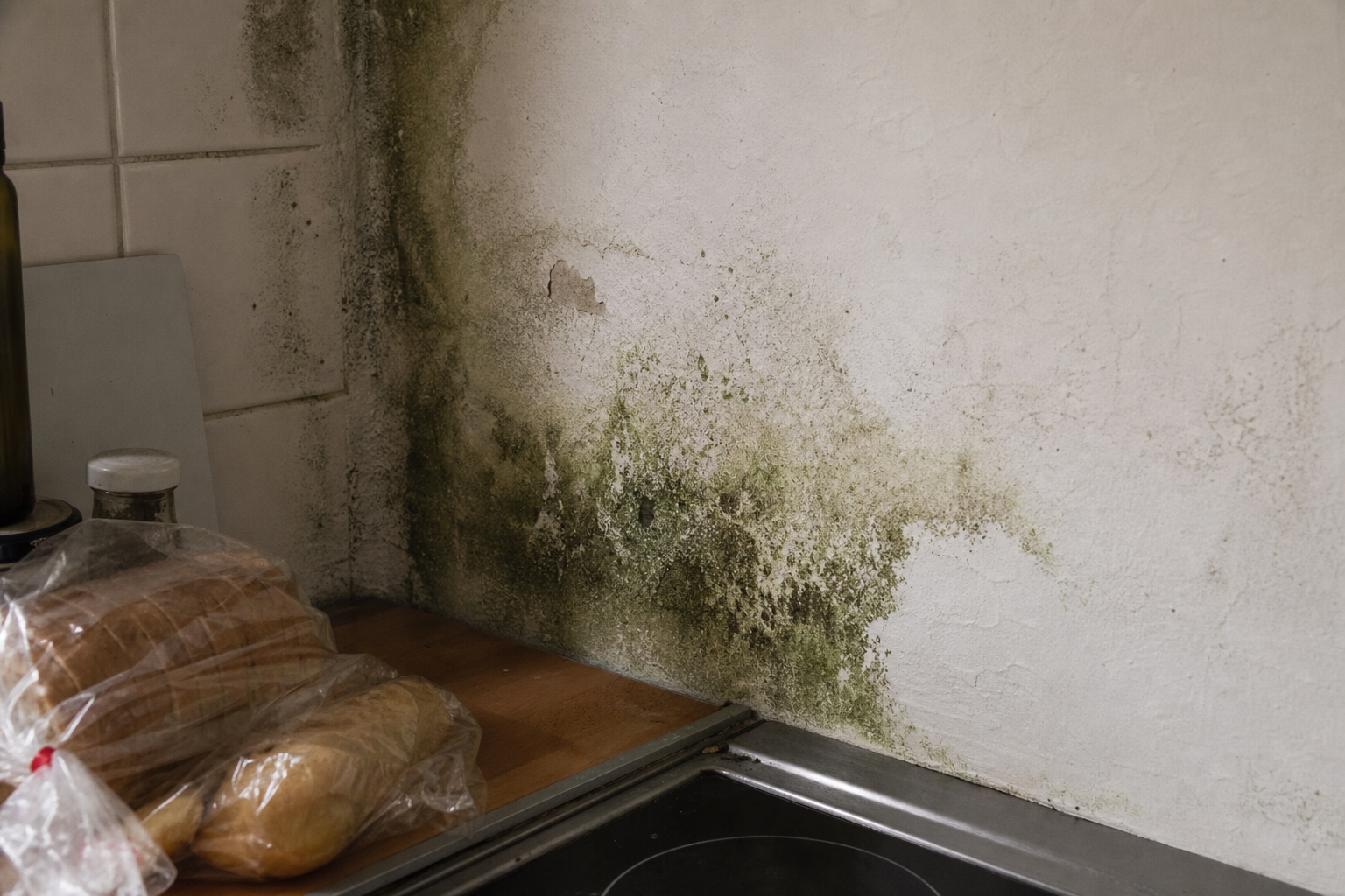 Grüner Schimmel auf Wand und Lebensmittel